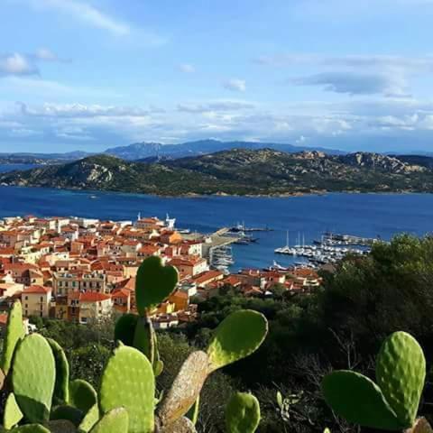 Sweet Home La Maddalena La Maddalena  Dış mekan fotoğraf
